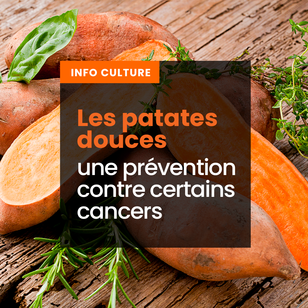 27-patatesdouces